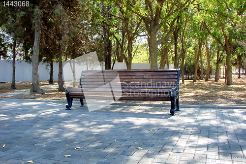 Image of Wooden Bench In Park