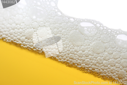Image of A close-up image of a beer