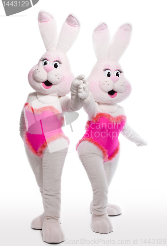 Image of two bunny girl mascot costume