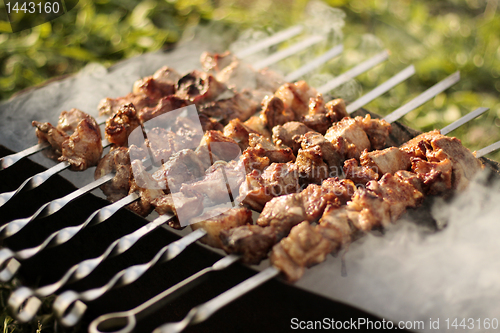 Image of Kebabs on the grill