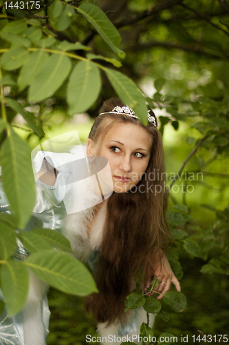 Image of Snow Maiden spying