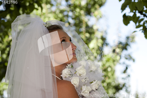 Image of Bride with bouquet