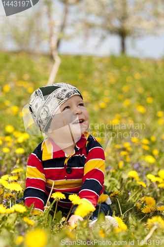 Image of The boy sitting in flowers