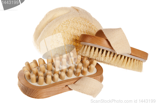 Image of Bast and massage brush, it is isolated on white