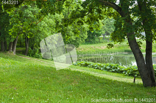 Image of summer landscape with pond