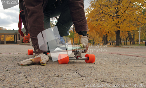 Image of skater in the park