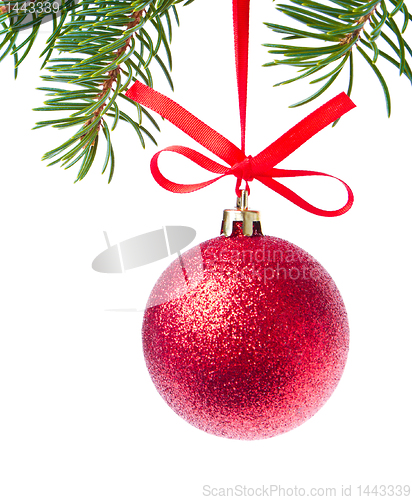 Image of red christmas ball hanging from tree