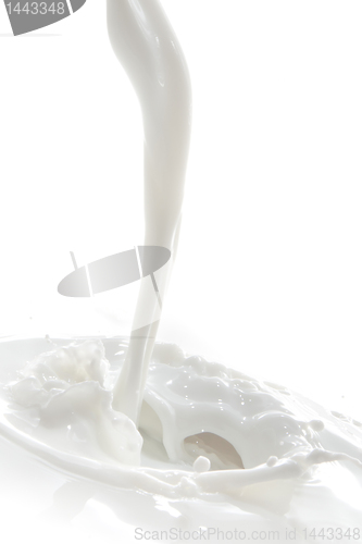 Image of milk splash