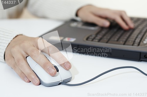 Image of Surfing in net