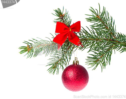 Image of christmas ball on branch