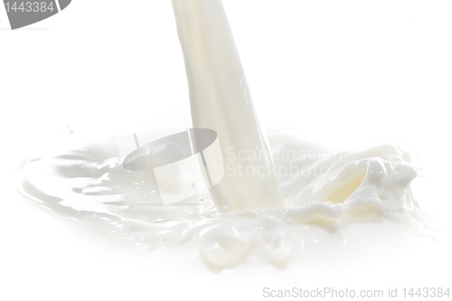 Image of milk splash