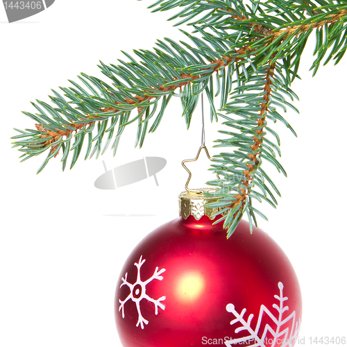 Image of ball hanging from spruce christmas tree