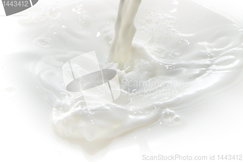 Image of milk splash