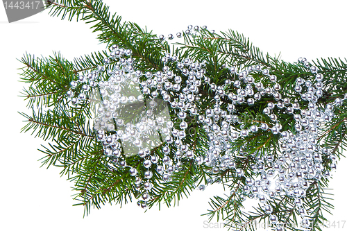 Image of decorated christmas branch
