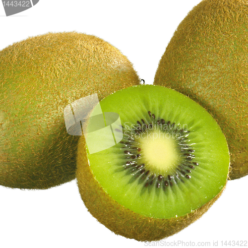Image of kiwi