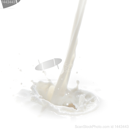 Image of milk splash