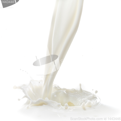 Image of milk splash