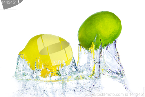 Image of citrus fruit splashing
