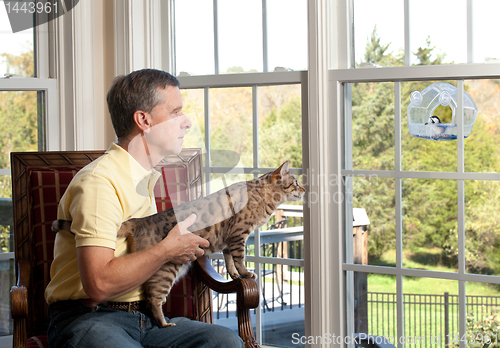 Image of Cat watching bird on feeder