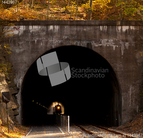 Image of Steam locomotive enters tunnel