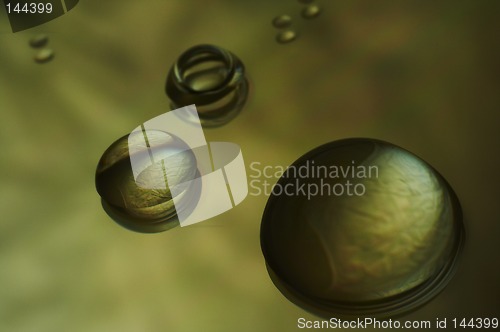 Image of Water droplets