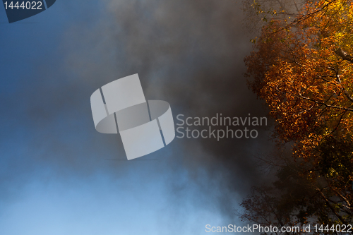 Image of Steam train sends smoke into air