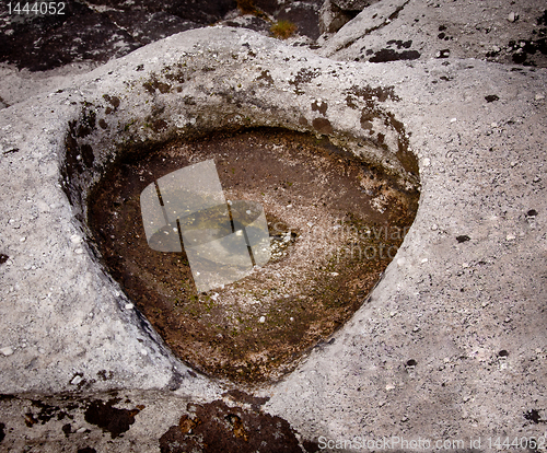 Image of Unusual and spooky eye in a rock pool