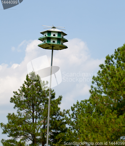 Image of Large bird feeder on post