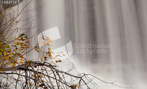 Image of Fall leaves by waterfall