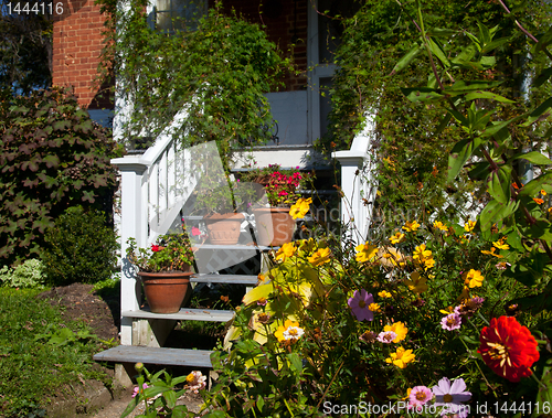 Image of Flower around wooden steps