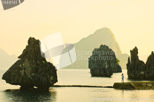 Image of Tropical Limestone Islands