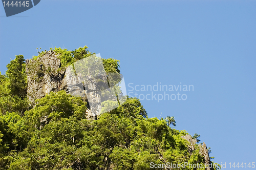 Image of Limestone cliff