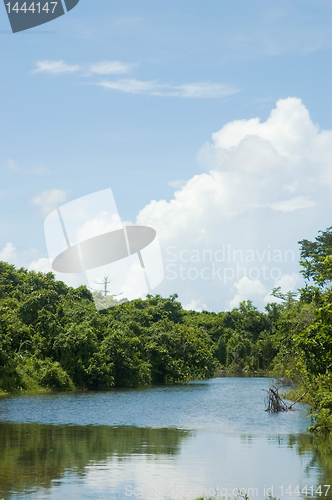 Image of Crystal-Clear Stream