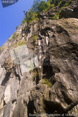 Image of Limestone cliff