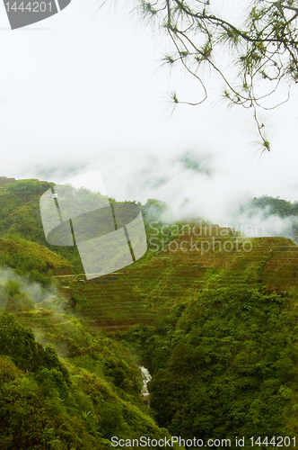 Image of Banaue Rice Terraces