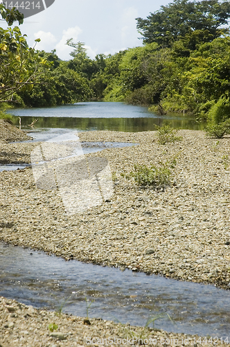 Image of Crystal-Clear Stream