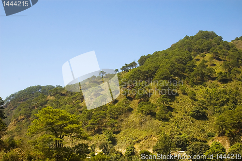 Image of Mountain Road