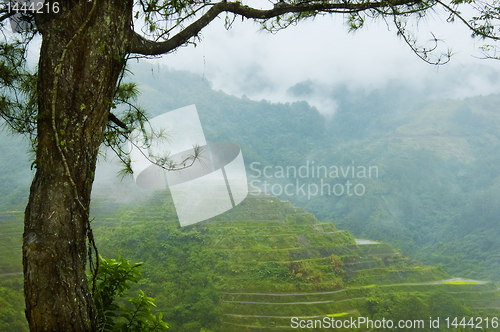 Image of Banaue Rice Terraces