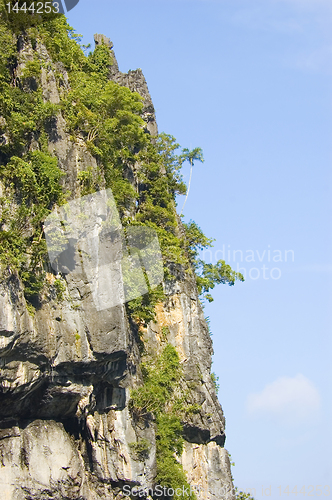 Image of Limestone cliff