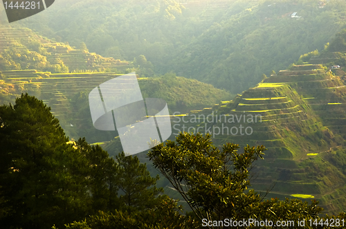 Image of Banaue Sunrise