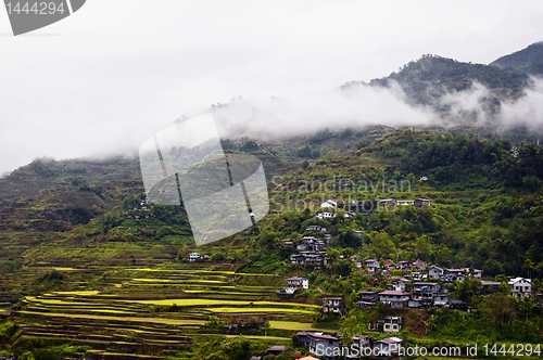 Image of Banaue Rice Terraces