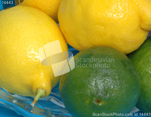 Image of lemons & limes