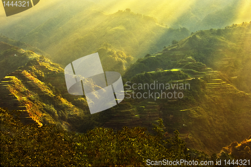 Image of Banaue Rice Terraces