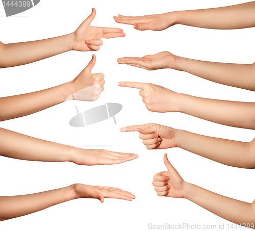 Image of human hands isolated