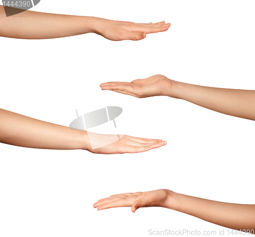 Image of human hands isolated