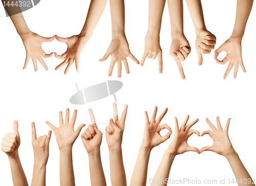 Image of human hands isolated