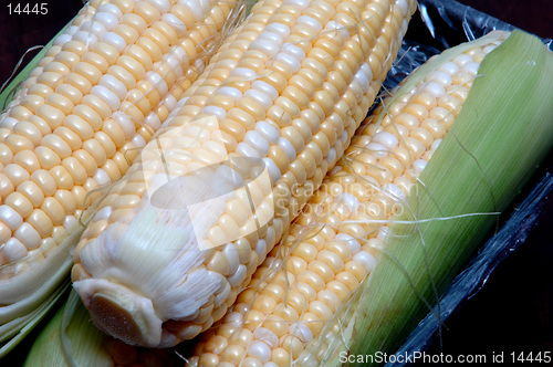 Image of corn