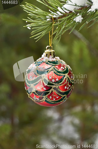 Image of Christmas ball on a branch of pine