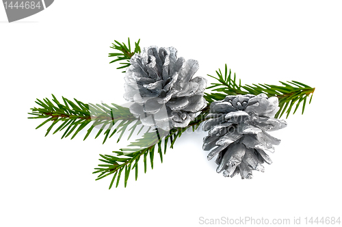Image of Christmas fir cones on a branch