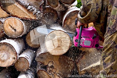 Image of Firewood with chainsaw